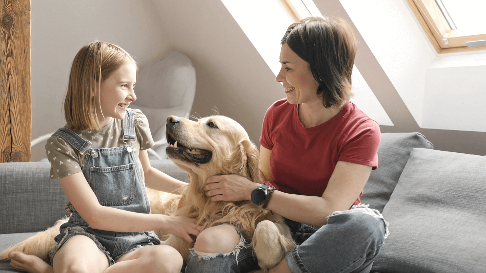 Rotenso Aneru HP — miniaturka 2