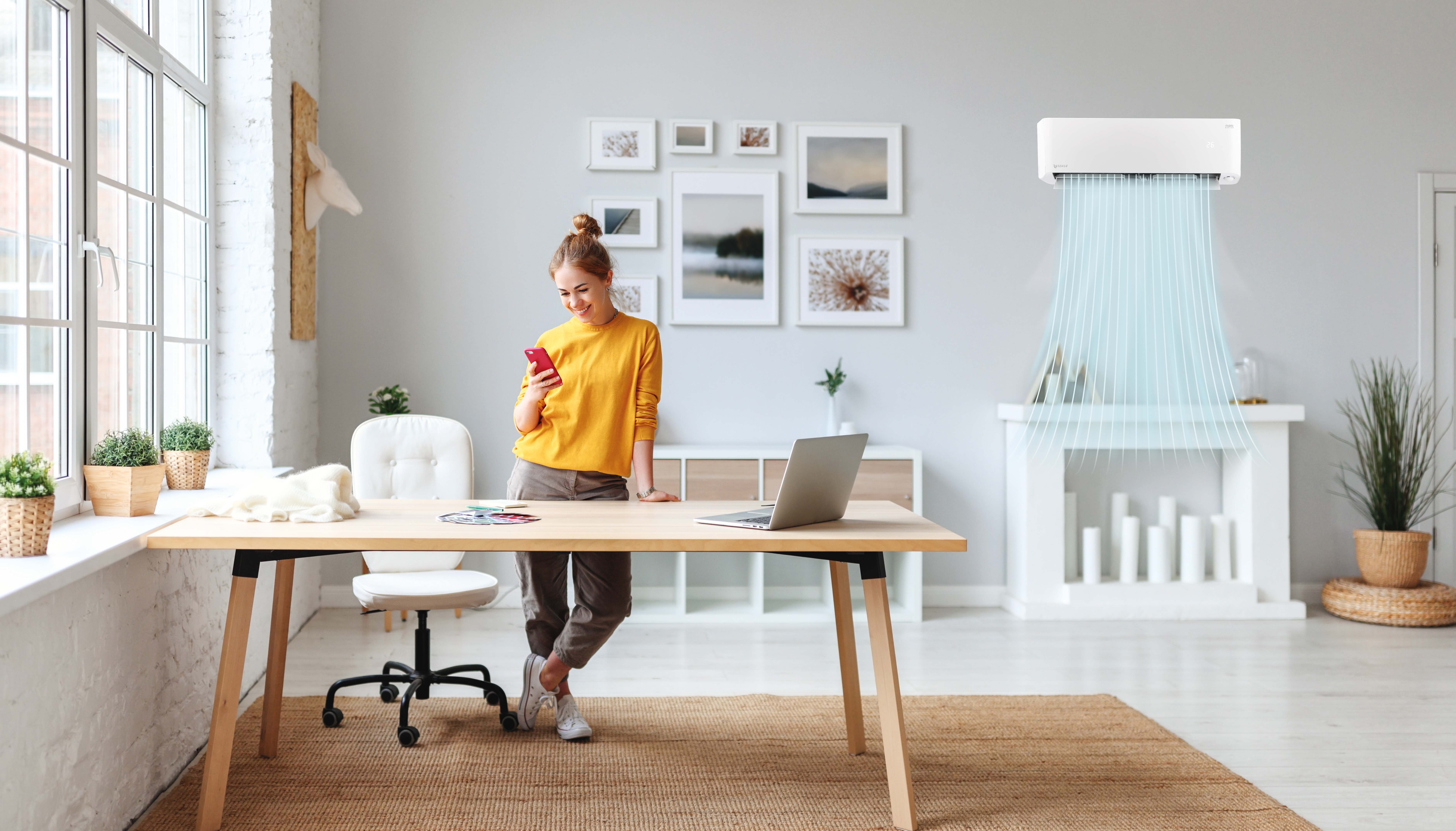 Rotenso Mirai X — miniaturka 2