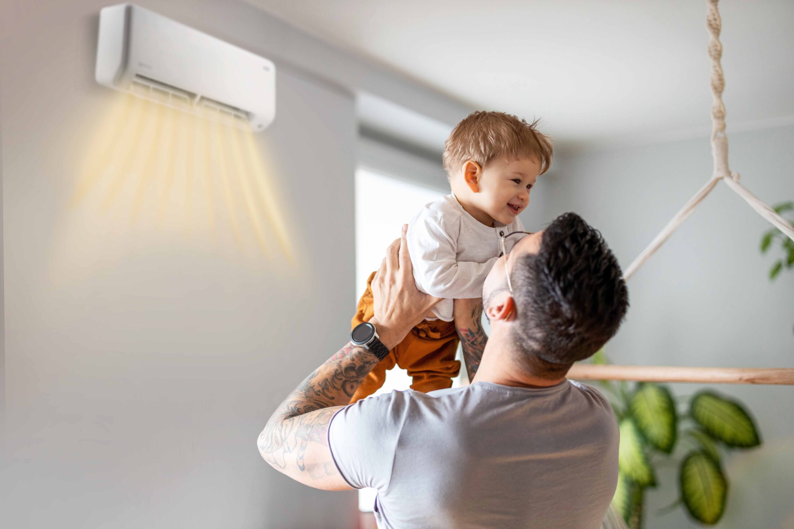 Rotenso Revio — miniaturka 2